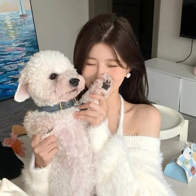 恋爱部屋